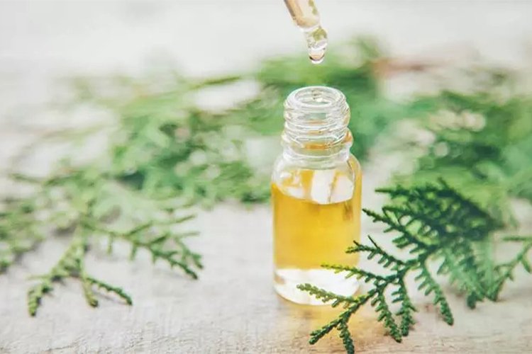 10 Essential Oils to Prevent Wrinkles