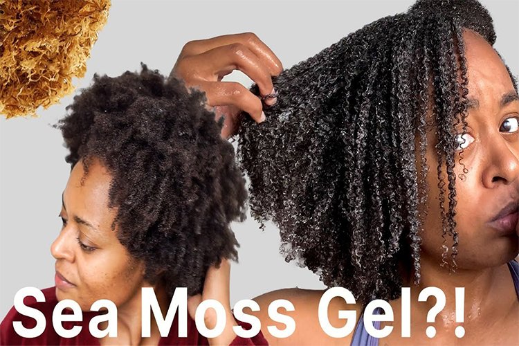 Irish Sea Moss for Hair Growth: Does It Work?