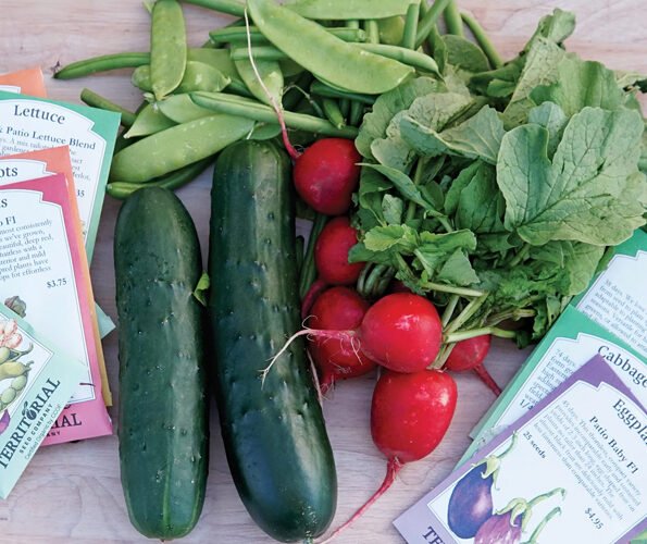 Territorial Seed Featured Image